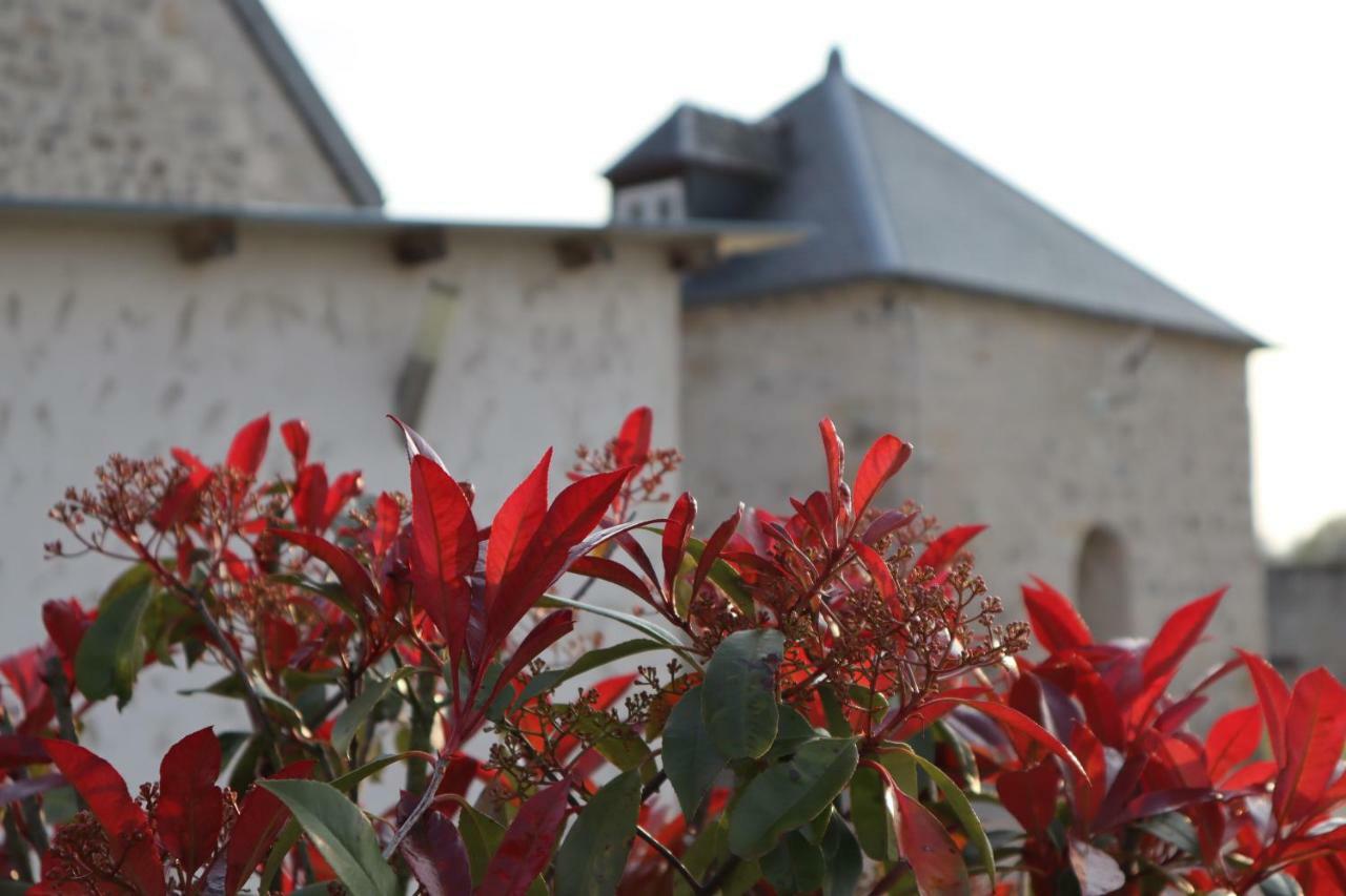 Gites De Saint Remy วิลแลร์-โคทเตเรต์ ภายนอก รูปภาพ